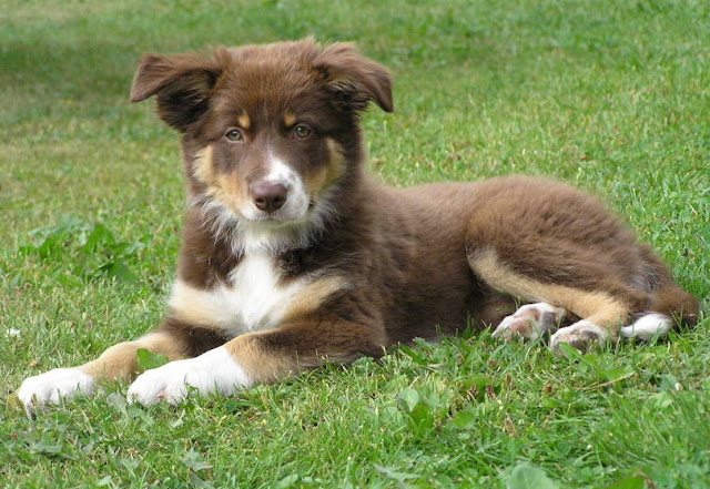 babe006.jpg
