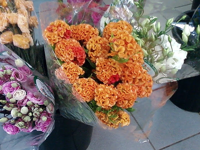 Флешмобильник.