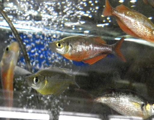 Неожиданная прогулка! 