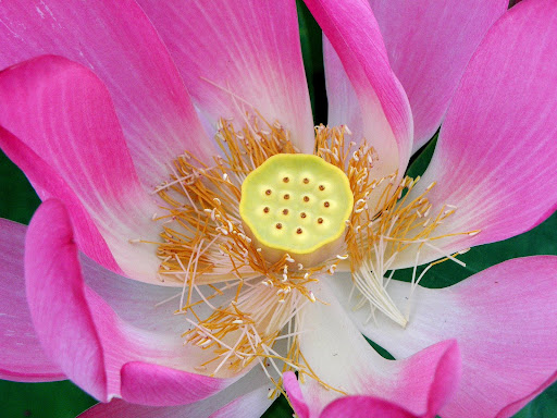 Неожиданная прогулка! 