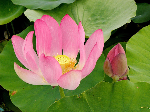 Неожиданная прогулка! 