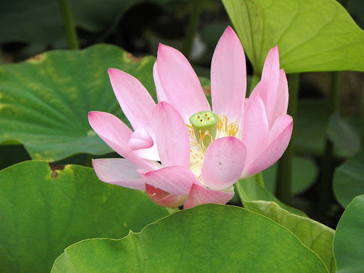 Неожиданная прогулка! 