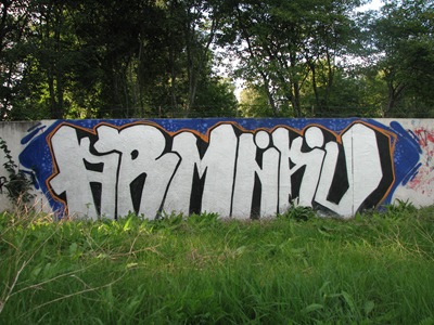 ARMNAU200X