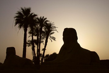 Sphinx à Louxor (Luxor)