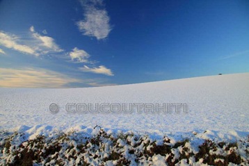 Plein de neige...