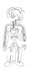 circulatorio 1.JPG