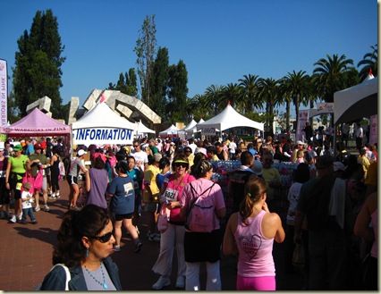 Race for the Cure 229