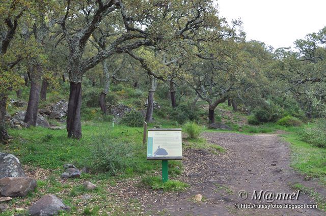 Travesía Picacho - Aljibe