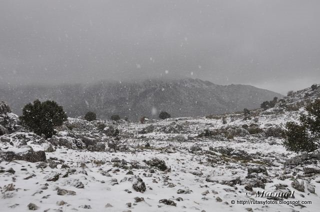 Circular nevada Grazalema - Llanos del Endrinal - Puerto de las Presillas - Puerto del Boyar