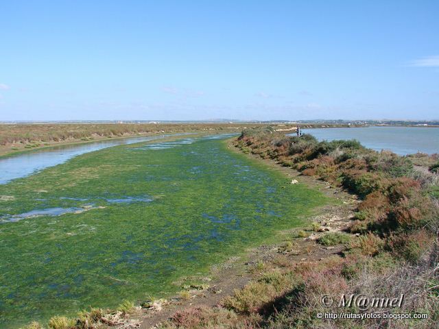 Caño del Carrascón - Salina San Judas - Caño de Sancti Petri