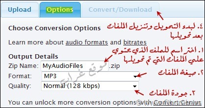 Convert Audio Online