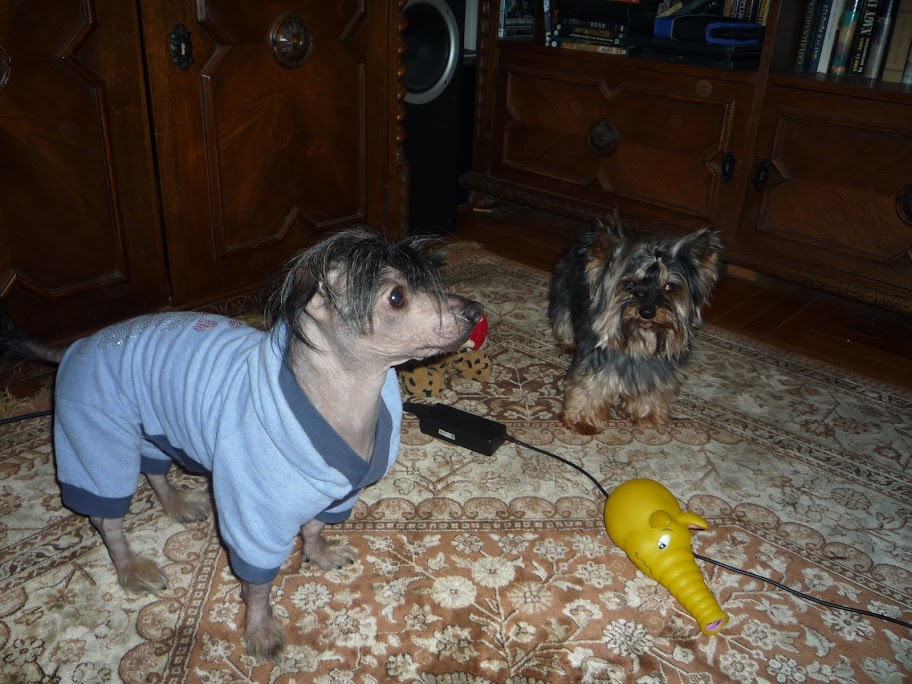 P1010306.JPG