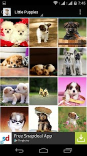 Cute Little Puppies Wallpapers Screenshots 12
