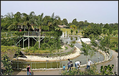 Orchids garden - Utopia