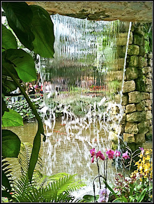 Orchids garden - Utopia