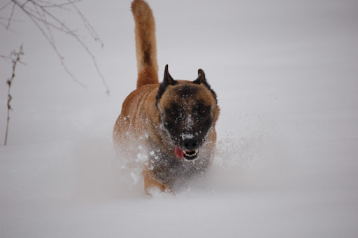 DSC_0073.JPG