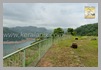 IDKI_1047_idukki_kerala_DSC0049