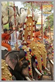 TPM_052_trichur_pooram_kerala_DSC_00