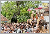 TPM_074_trichur_pooram_kerala_DSC_00