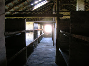 164 - Auschwitz II - Birkenau, interior de un barracón de piedra.JPG