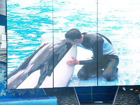 097 - Espectáculo de las orcas.JPG