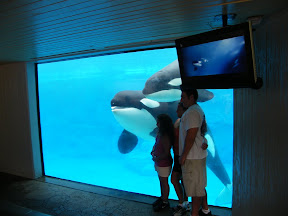 136 - Orcas.JPG