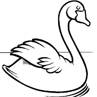 Aves (18).jpg