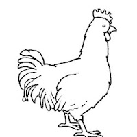 Aves (52).jpg
