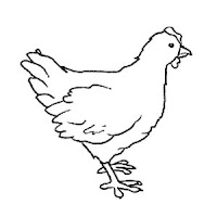 Aves (50).jpg