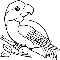 Aves (24).jpg