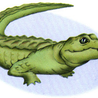 Reptiles (12).jpg