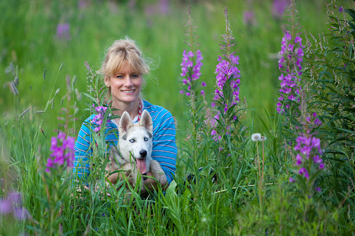 Musher Iditarod Photos michelle phillips the musher. Musher Iditarod Photos