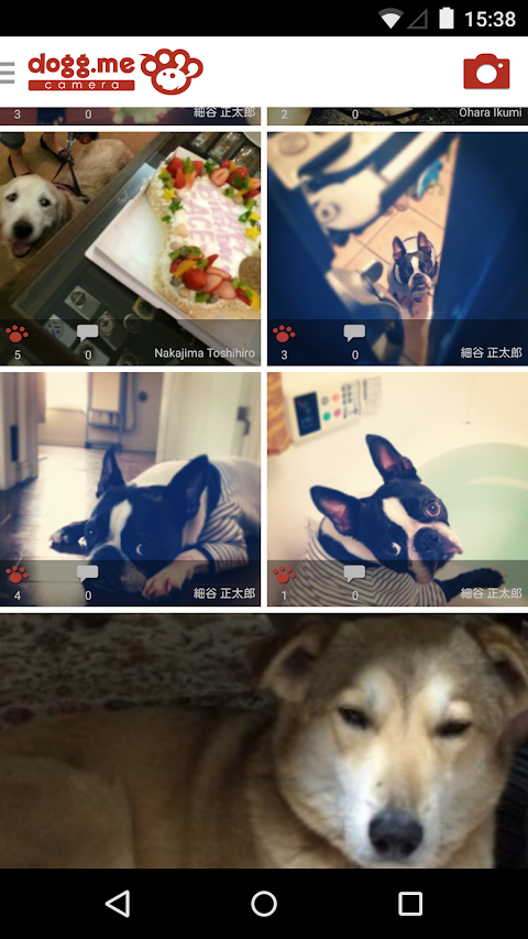 dogg.me camera(ドッグミーカメラ)犬専用カメラのおすすめ画像5