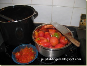 Tomato Pasta sauce - home grown