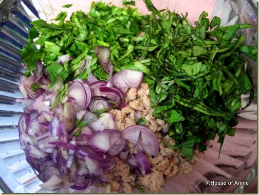 shallots cilantro basil and pork for larb