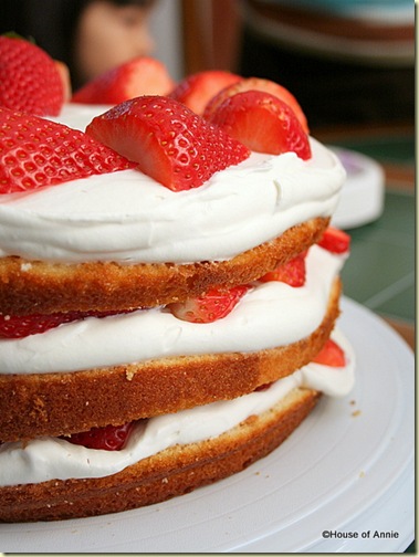 Round Layer Cake with Whipped Cream and Strawberries