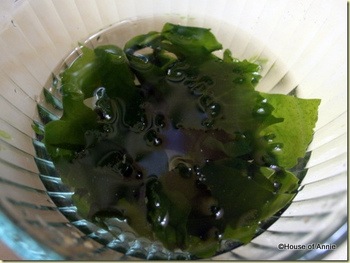 wakame seaweed for miso soup