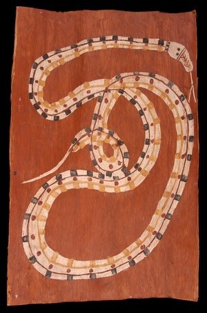 Python des roches - Midjau-Midjawu