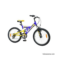 20 Inch Wimcycle Vulcan 6 Speed Junior Mountain Bike
