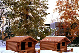 Shelters Bomb underground shelters utah bunker bunkers envy became
paratusnews him pipe enorme jealous rimarrete scioccati scoprire buco
trend180 allmystery 1295