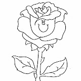 Flores3.jpg