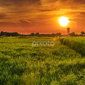 by Rupam Chakraborty - Landscapes Sunsets & Sunrises