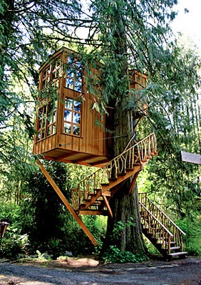 [treehouse2[2].jpg]