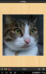 Best Cats game poster 3