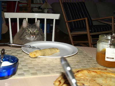Milly a cat looking at a pancake sitting at a table