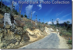 deforestation bhutan