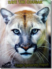 big cat rescue sponsorship program 1