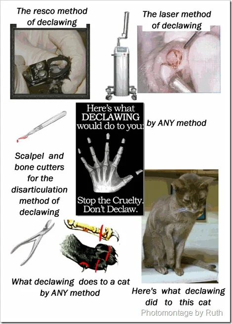 declawing by any method is cruel