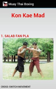 Muay Thai Boxing Screenshots 2