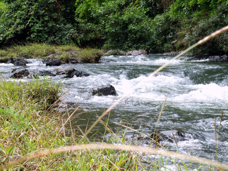 DSCF4809.JPG
